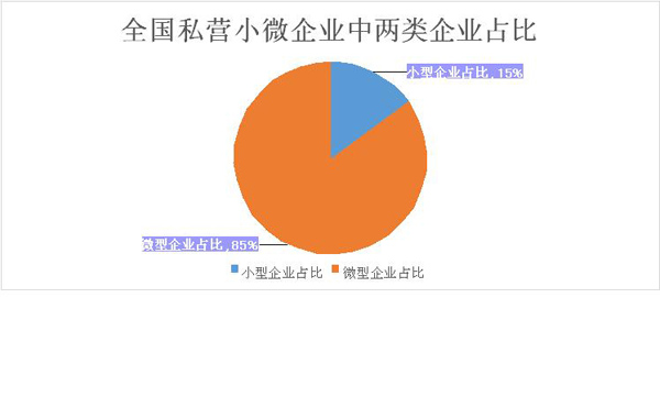 全国私营小微企业中两类企业占比