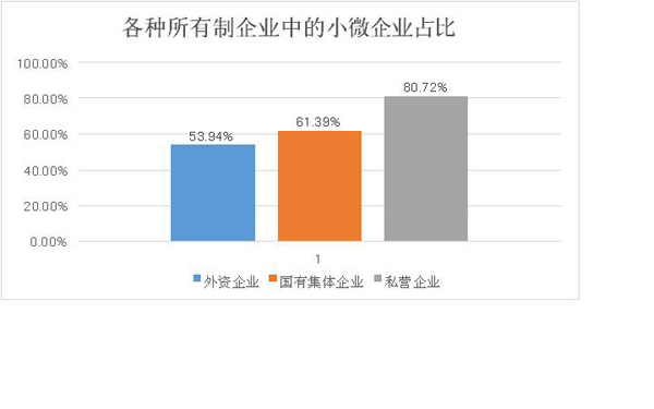 各种所有制企业中的小微企业占比