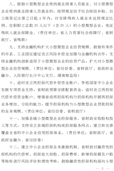 湘政发（2015）13号《湖南省人民政府关于进一步扶持小型微型企业健康发展的实施意见》5