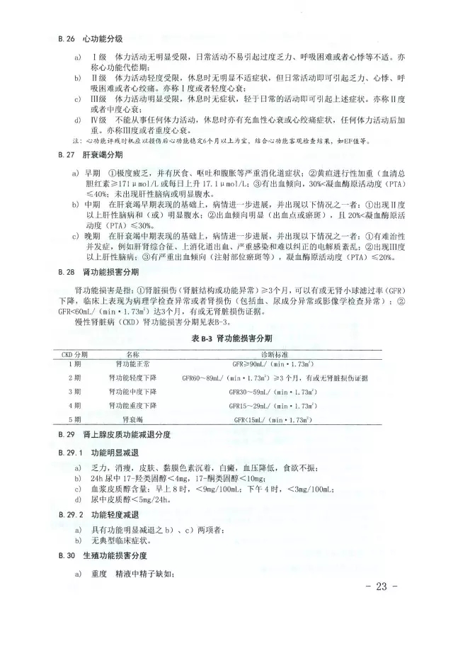 人体损伤致残程度分级23