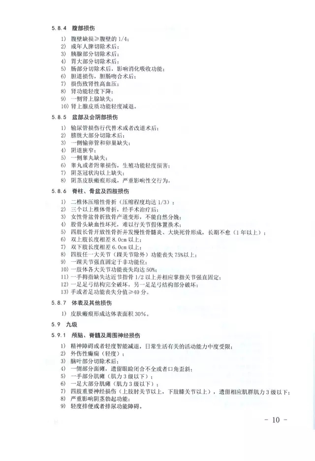 人体损伤致残程度分级10