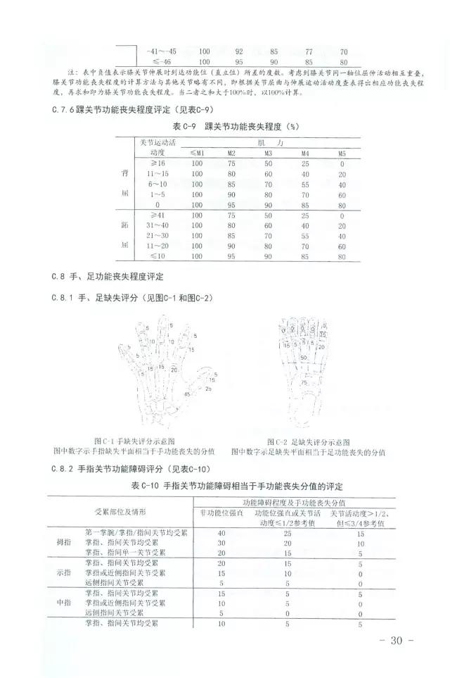 人体损伤致残程度分级30