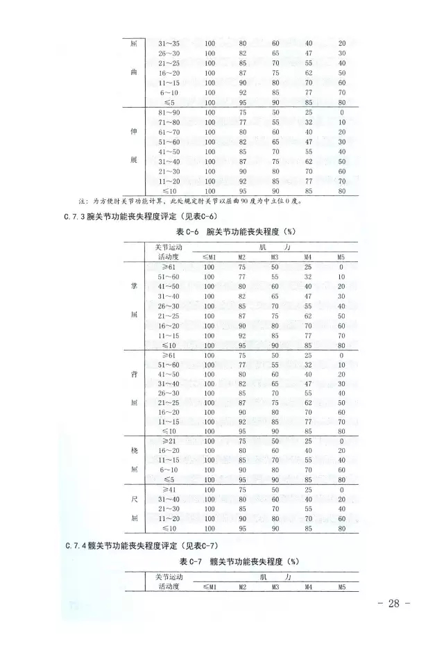 人体损伤致残程度分级28