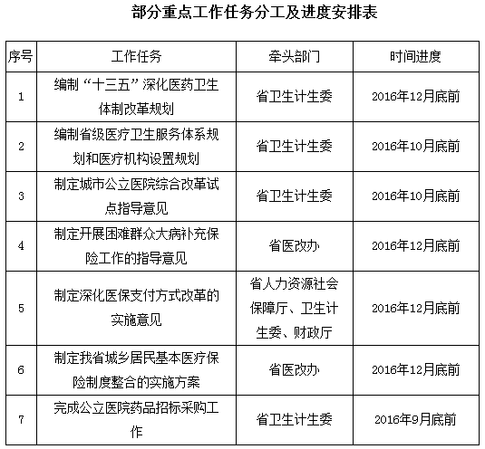 部分重点工作任务分工及进度安排表