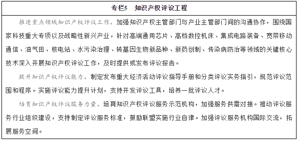 专栏5　知识产权评议工程