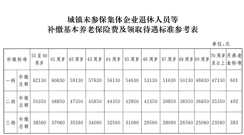 城镇未参保集体企业退休人员等补缴基本养老保险费及领取待遇标准参考表